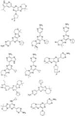 Figure FDA0002486010530000251