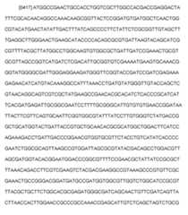 Figure imgf000122_0001