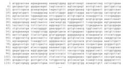 Figure imgf000037_0002