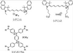 Figure 0007109653000012