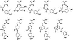 Figure 0007468295000007