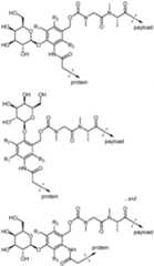 Figure imgf000177_0001