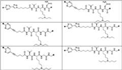 Figure PCTCN2022073822-appb-000343