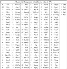 Figure imgf000047_0001