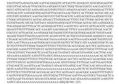 Figure imgf000287_0002