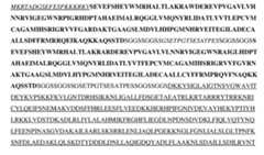 Figure imgf000012_0002