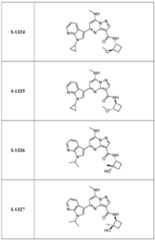 Figure imgf000377_0001