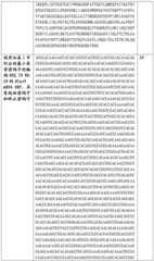 Figure BDA0002508391090001171