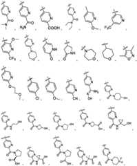 Figure FDA0003481820600000032