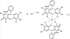 Figure BDA0000070866990000101