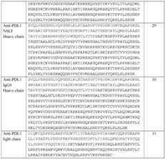 Figure imgf000083_0001