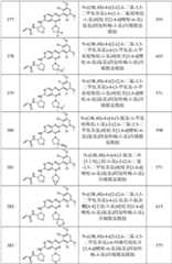 Figure GPA0000263212130001951