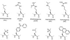 Figure imgf000043_0002