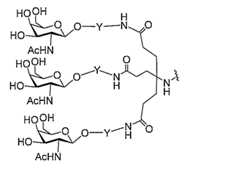 Figure 0007429103000202