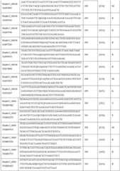 Figure DEST_PATH_IMAGE032