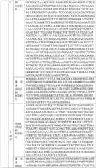 Figure BDA0004033970230007101