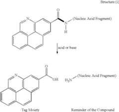 Figure US06613508-20030902-C00002