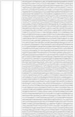 Figure BDA0002808063770000911