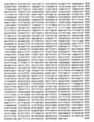 Figure 104109152-A0305-02-0137-22