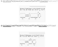 Figure imgf000063_0001