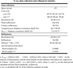 Figure JPOXMLDOC01-appb-T000011