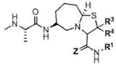 Figure imgf000028_0002