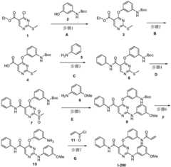 Figure BDA0001453135130002011