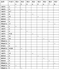 Figure BDA0000059233380000431