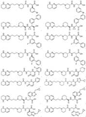 Figure imgf000336_0001