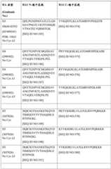 Figure BDA0004089703340001391