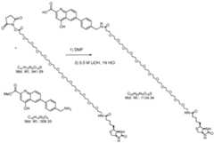 Figure imgf000066_0001