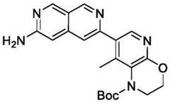 Figure BDA0002911816760001091