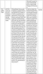 Figure BDA0004033970230006891