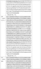 Figure PCTCN2019123555-APPB-000043