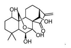 Figure imgf000061_0003