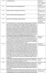 Figure BDA0003877999510001691