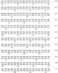 Figure imgf000197_0001