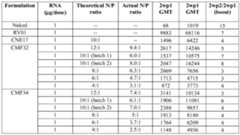 Figure imgf000082_0001