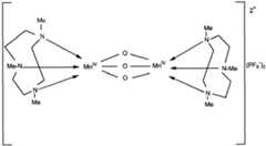 Figure imgb0036