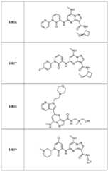 Figure imgf000250_0001