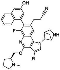 Figure BDA0003993773060002642