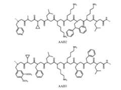Figure imgf000022_0001