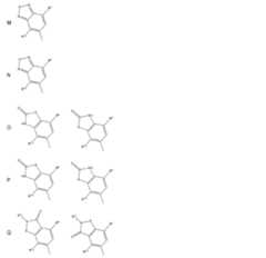 Figure 0007174143000019