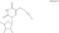 Figure US06686150-20040203-C00002