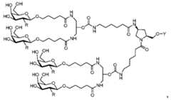 Figure imgf000061_0003