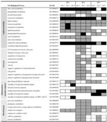 Figure imgf000039_0001