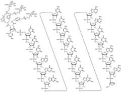 Figure imgf000123_0001