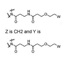 Figure imgf000082_0002