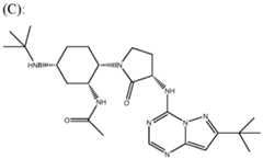 Figure imgf000007_0001