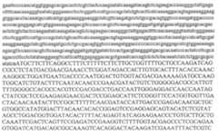 Figure 112014103048195-pat00057